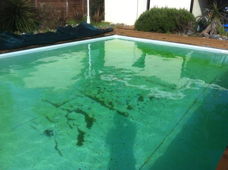 Problème d'algue dans votre piscine